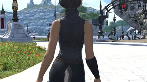 But a issue showed up after when the host of the event had modded content enabled, making a friends dress show off her chest, when confronted about the. . Ff14 nsfw mod